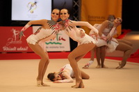 © ВФЭГ (RFAG)