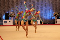 © ВФЭГ (RFAG)