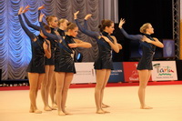 © ВФЭГ (RFAG)