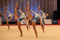 © ВФЭГ (RFAG)