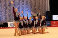 © ВФЭГ (RFAG)