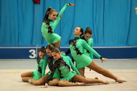 © ВФЭГ (RFAG)