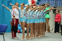 © ВФЭГ (RFAG)