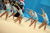© ВФЭГ (RFAG)