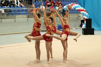 © ВФЭГ (RFAG)