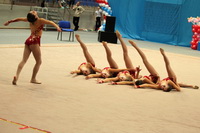 © ВФЭГ (RFAG)