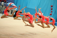 © ВФЭГ (RFAG)