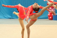 © ВФЭГ (RFAG)