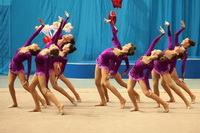 © ВФЭГ (RFAG)