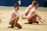© ВФЭГ (RFAG)