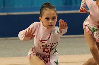 © ВФЭГ (RFAG)