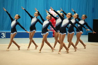 © ВФЭГ (RFAG)