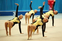 © ВФЭГ (RFAG)