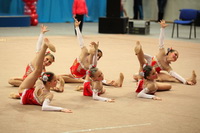 © ВФЭГ (RFAG)
