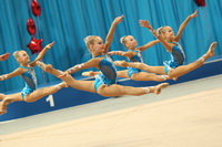 © ВФЭГ (RFAG)