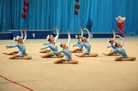 © ВФЭГ (RFAG)