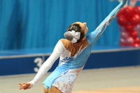 © ВФЭГ (RFAG)