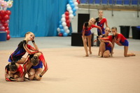 © ВФЭГ (RFAG)