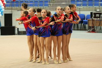 © ВФЭГ (RFAG)