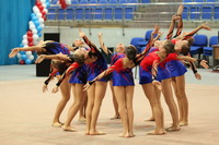 © ВФЭГ (RFAG)