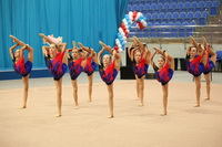 © ВФЭГ (RFAG)