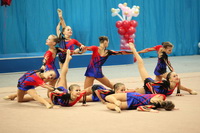 © ВФЭГ (RFAG)