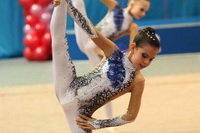 © ВФЭГ (RFAG)