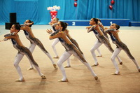 © ВФЭГ (RFAG)
