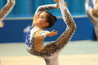 © ВФЭГ (RFAG)