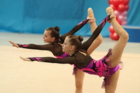© ВФЭГ (RFAG)