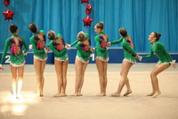 © ВФЭГ (RFAG)