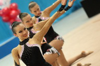 © ВФЭГ (RFAG)
