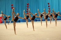 © ВФЭГ (RFAG)