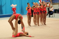 © ВФЭГ (RFAG)