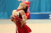 © ВФЭГ (RFAG)