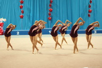 © ВФЭГ (RFAG)