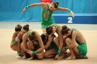 © ВФЭГ (RFAG)