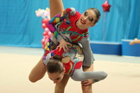 © ВФЭГ (RFAG)