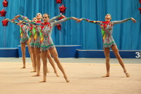 © ВФЭГ (RFAG)