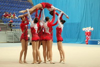 © ВФЭГ (RFAG)