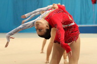 © ВФЭГ (RFAG)