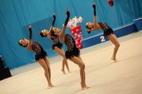 © ВФЭГ (RFAG)
