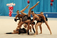 © ВФЭГ (RFAG)