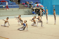 © ВФЭГ (RFAG)