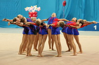 © ВФЭГ (RFAG)
