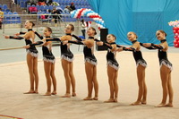 © ВФЭГ (RFAG)