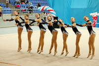 © ВФЭГ (RFAG)