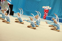 © ВФЭГ (RFAG)