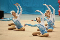 © ВФЭГ (RFAG)