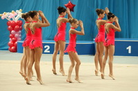 © ВФЭГ (RFAG)
